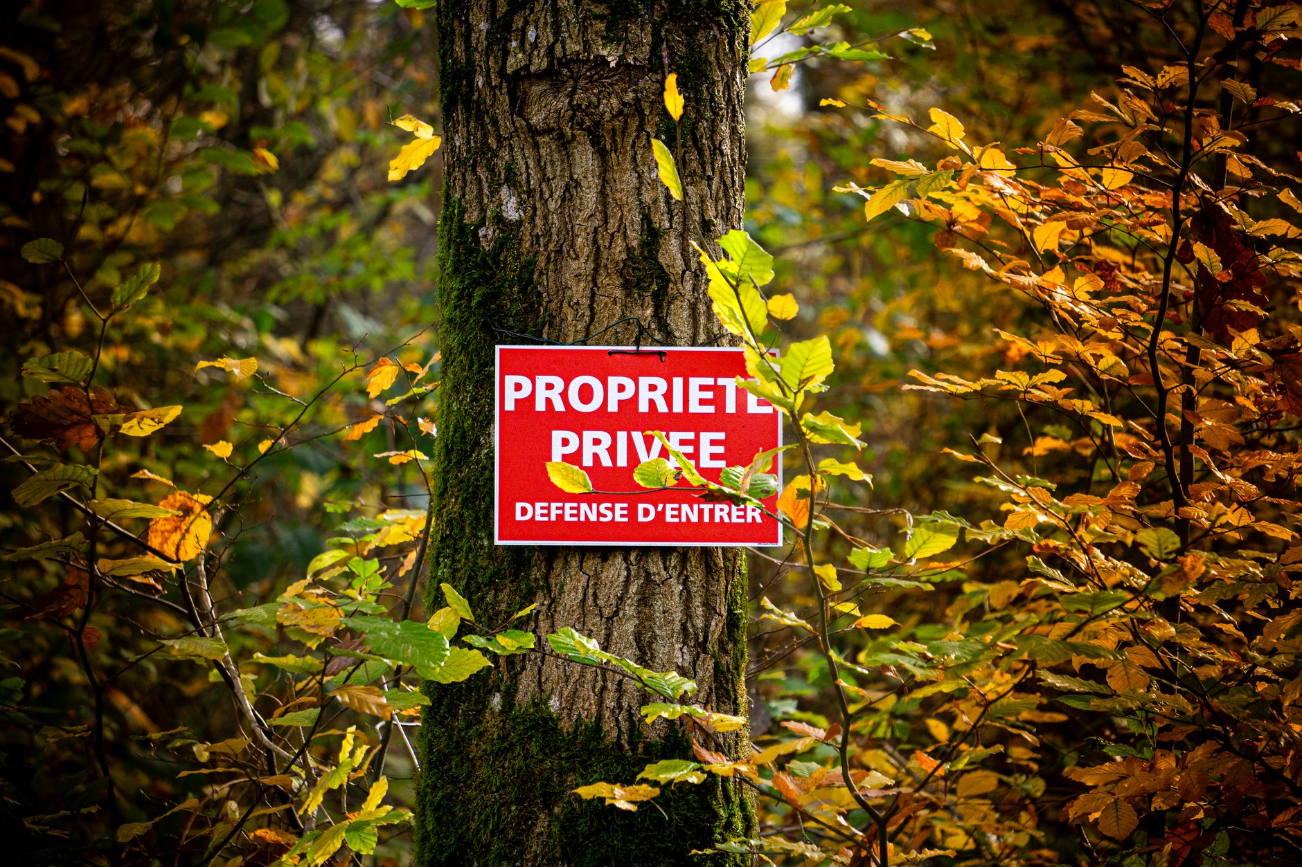 Détective privé à Saint-Quentin